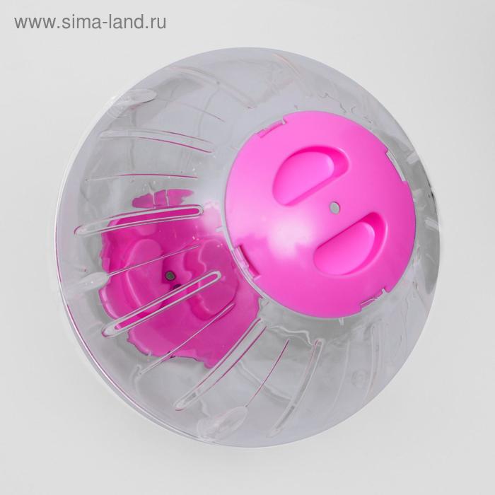 Шар для грызунов Carno, 18,5 см, микс цветов
Шар для грызунов Carno, 18,5 см, микс цветов