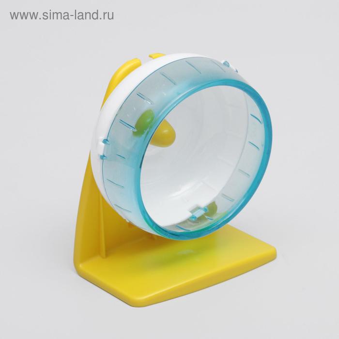 Колесо для грызунов Carno тихое, на подставке, 12 см, микс цветов
Колесо для грызунов Carno тихое, на подставке, 12 см, микс цветов