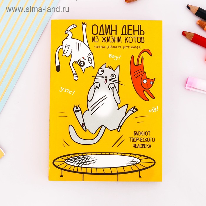 Блокнот творческого человека "Один день из жизни котиков", мягкая обложка, 11,5 х 16,5 см, 120 листов
Блокнот творческого человека "Один день из жизни котиков", мягкая обложка, 11,5 х 16,5 см, 120 листов