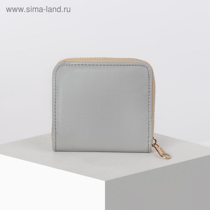 Кошелёк женский, 2 отдела на молнии, цвет серебро
Кошелёк женский, 2 отдела на молнии, цвет серебро