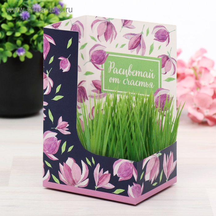 Открытка с растущей травой "Расцветай от счастья" 
Открытка с растущей травой "Расцветай от счастья"