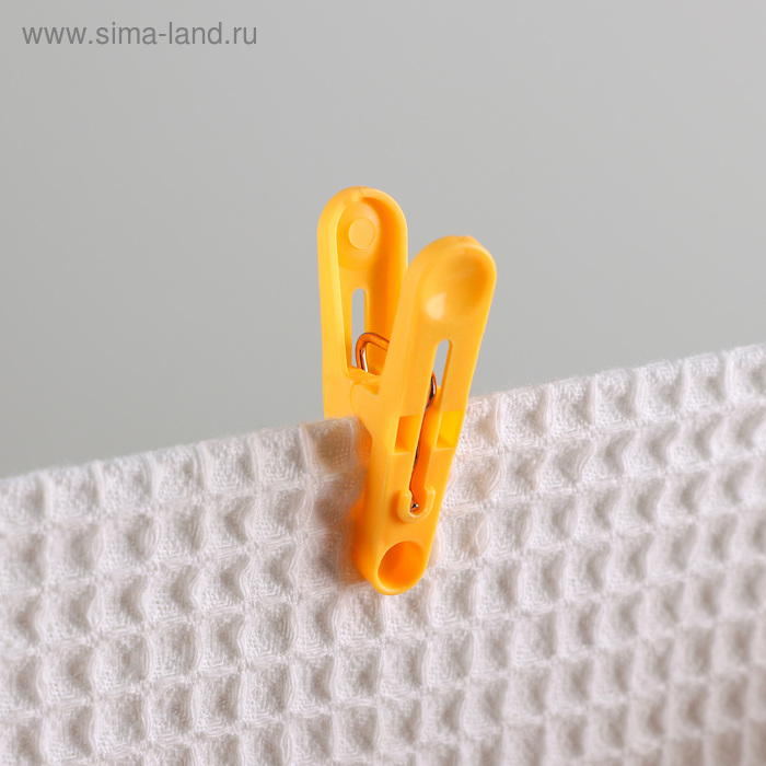 Набор прищепок бельевых, 5 см, 50 шт, цвет МИКС
Набор прищепок бельевых, 5 см, 50 шт, цвет МИКС