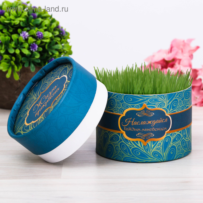 Растущая трава в тубусе «Наслаждайся каждым мгновением»
Растущая трава в тубусе «Наслаждайся каждым мгновением»