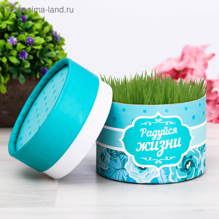 Растущая трава в тубусе «Радуйся жизни»
Растущая трава в тубусе «Радуйся жизни»