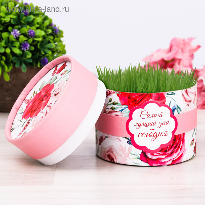 Растущая трава в тубусе «Самый лучший день сегодня»
Растущая трава в тубусе «Самый лучший день сегодня»