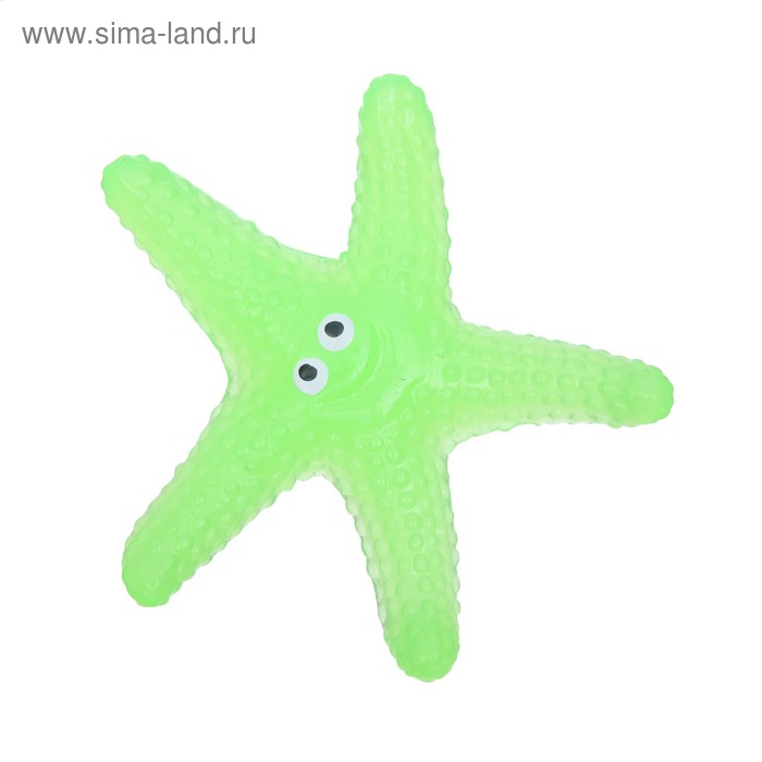 Липучка «Морская звезда», светится в темноте
Липучка «Морская звезда», светится в темноте