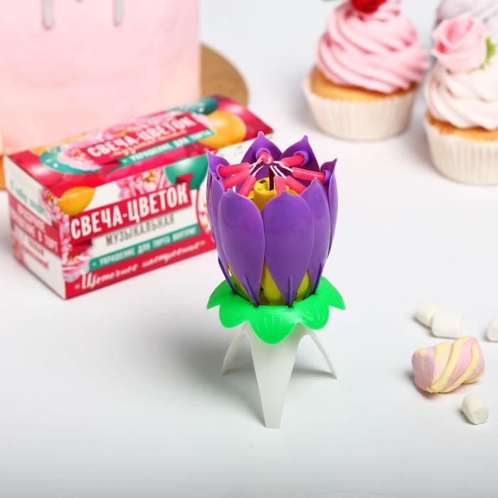 Свеча цветок в торт музыкальная, фиолетовая
Свеча цветок в торт музыкальная, фиолетовая