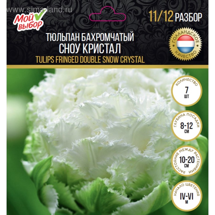 Тюльпан бахромчатый Сноу Кристал, р-р 11/12, 7 шт
Тюльпан бахромчатый Сноу Кристал, р-р 11/12, 7 шт
