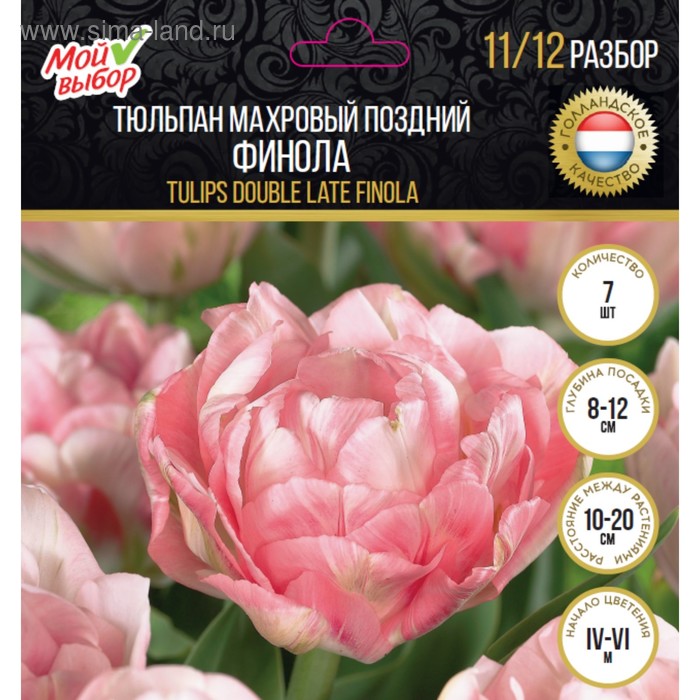 Тюльпан махровый поздний Финола, р-р 11/12, 7 шт
Тюльпан махровый поздний Финола, р-р 11/12, 7 шт