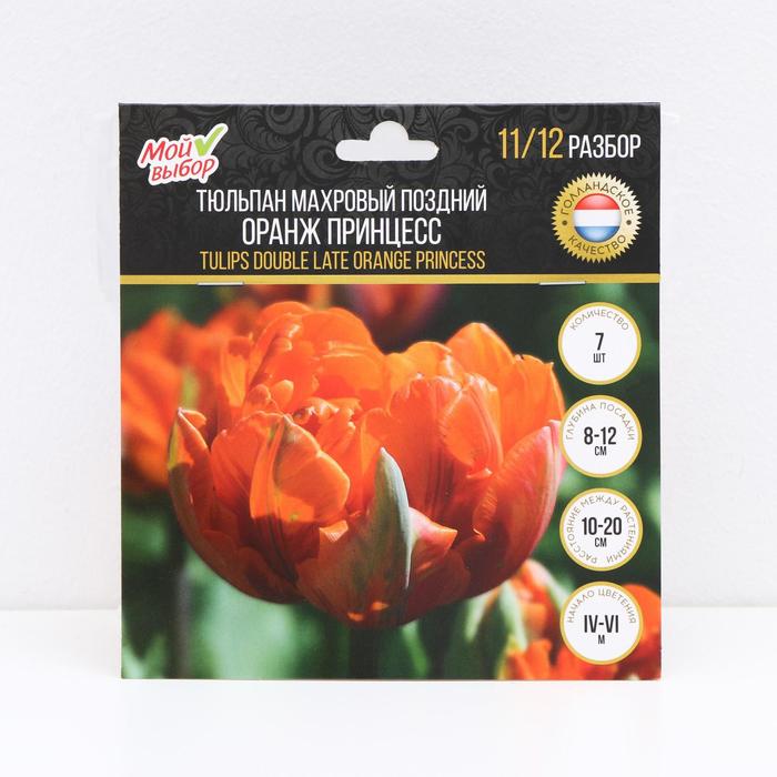 Тюльпан махровый поздний Оранж Принцесс, р-р 11/12, 7 шт
Тюльпан махровый поздний Оранж Принцесс, р-р 11/12, 7 шт