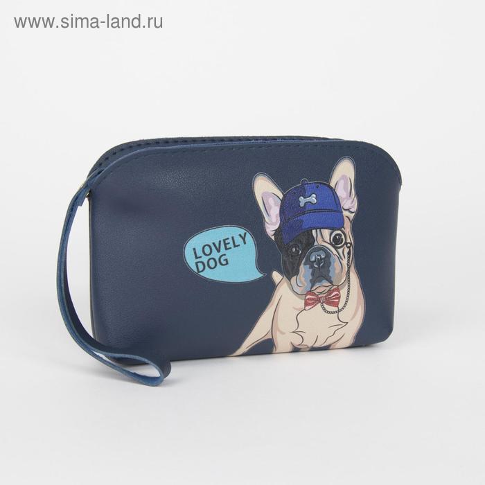 фото Клатч-косметичка, отдел на молнии, с ручкой, цвет синий