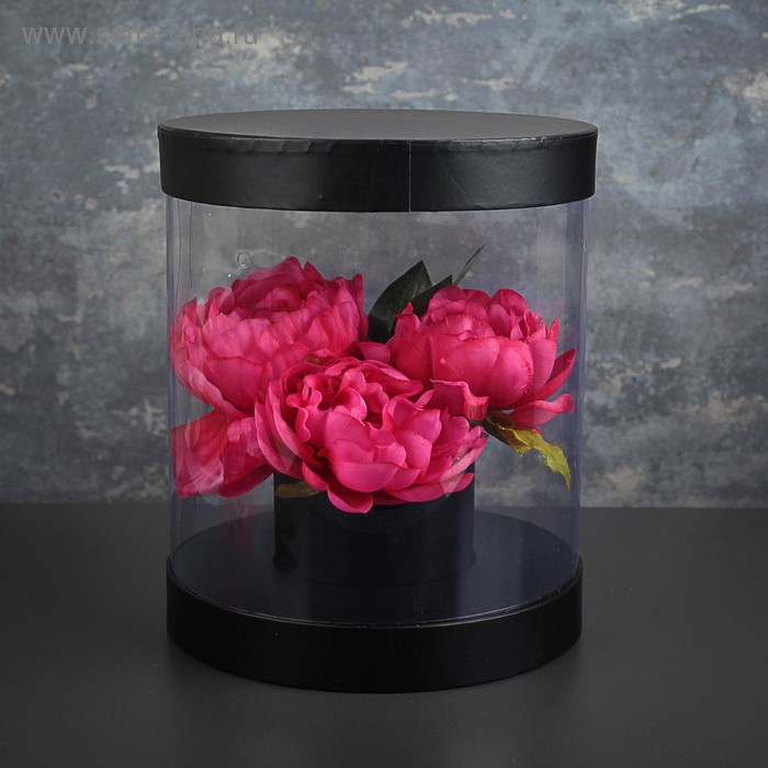 Коробка подарочная 22 х 22 х 26 см
Коробка подарочная 22 х 22 х 26 см