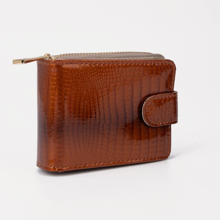 Визитница на молнии, 11 карт, цвет коричневый
Визитница на молнии, 11 карт, цвет коричневый