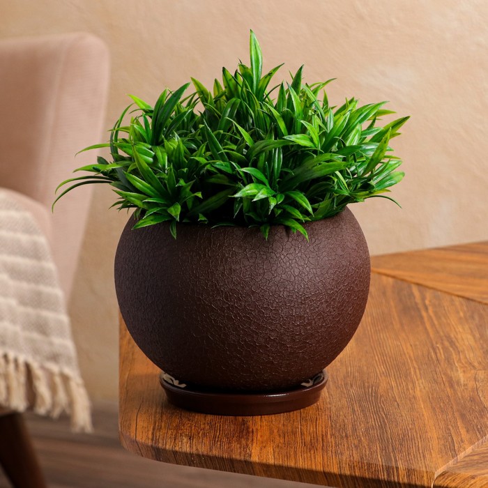 Горшок для цветов "Шар", шёлк, шоколад, керамика, 2 л
Горшок для цветов "Шар", шёлк, шоколад, керамика, 2 л