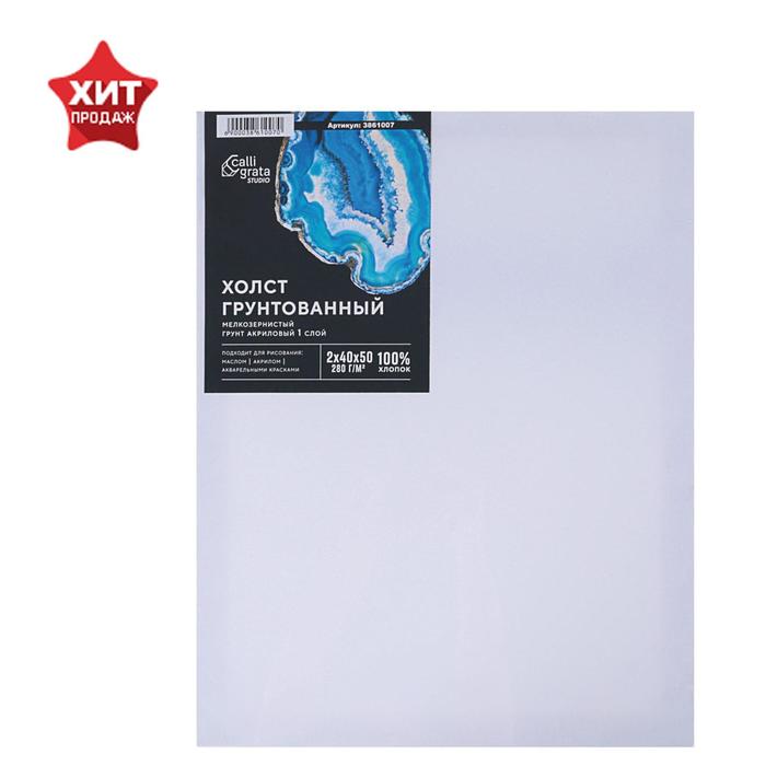 Холст на подрамнике, хлопок 100%, 40 х 50 х 1.8 см, акриловый грунт, 280 г/м², мелкозернистый, Calligrata
Холст на подрамнике, хлопок 100%, 40 х 50 х 1.8 см, акриловый грунт, 280 г/м², мелкозернистый, Calligrata