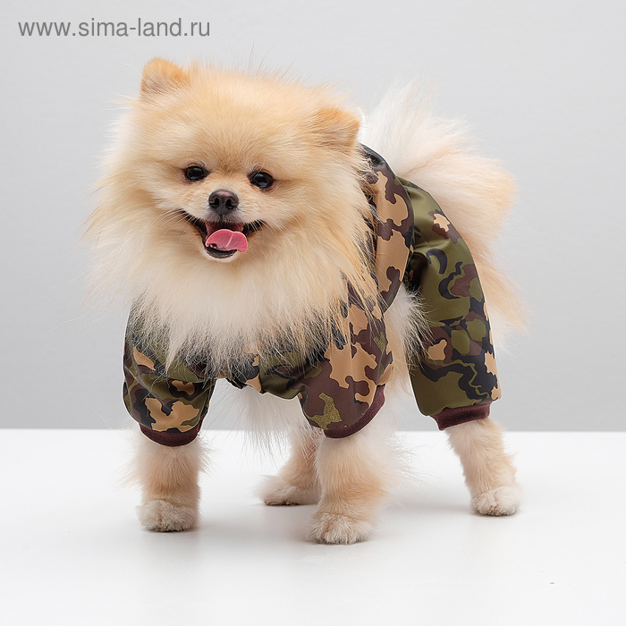 Комбинезон "Милитари" для мопса, размер М (ДС 26-28 см, ОГ 42-44 см)
Комбинезон "Милитари" для мопса, размер М (ДС 26-28 см, ОГ 42-44 см)