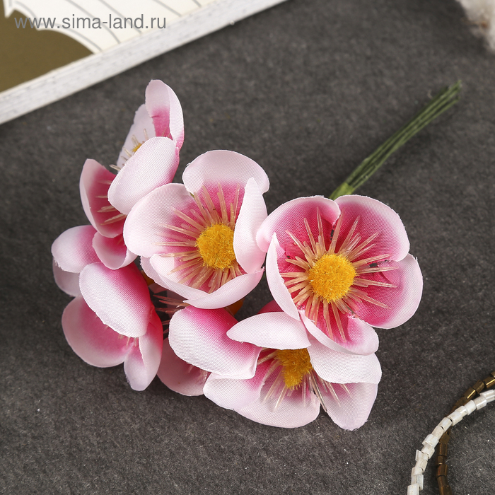 Декор для творчества "Плюмерия розово-белая" (набор-букет 6 цветков) d=4.7 см 11 см
Декор для творчества "Плюмерия розово-белая" (набор-букет 6 цветков) d=4.7 см 11 см