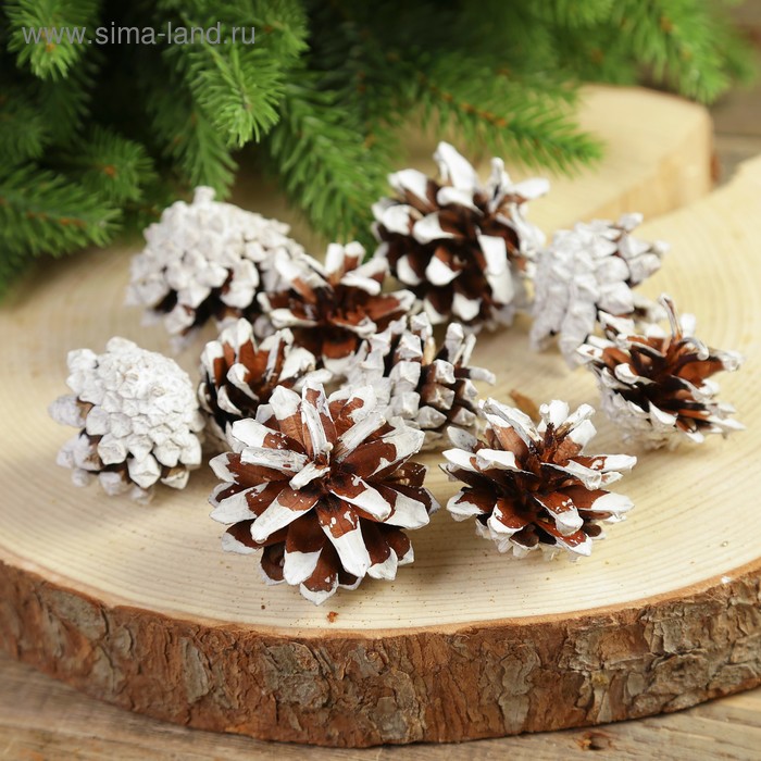 Шишки сосновые, белые, покрашенные, 10шт, пакет
Шишки сосновые, белые, покрашенные, 10шт, пакет