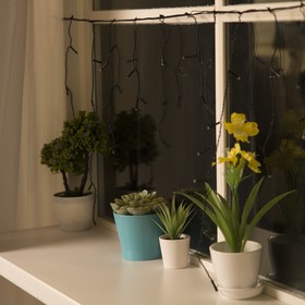 Гирлянда "Бахрома" 3 х 0.5 м , IP20, тёмная нить, 80 LED, свечение красное, 8 режимов, 220 В
Гирлянда "Бахрома" 3 х 0.5 м , IP20, тёмная нить, 80 LED, свечение красное, 8 режимов, 220 В