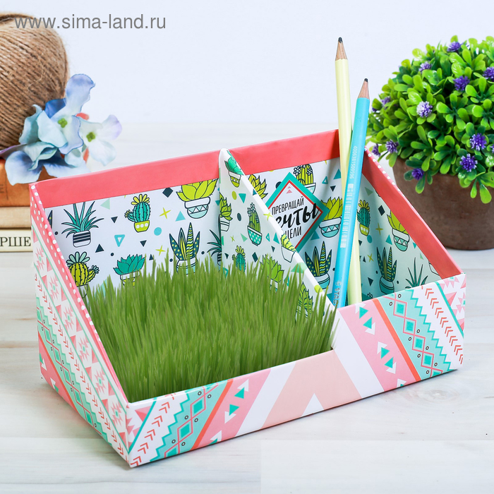 Органайзер канцелярский - растущий сувенир «Верь в себя» 10.5х10 см
Органайзер канцелярский - растущий сувенир «Верь в себя» 10.5х10 см