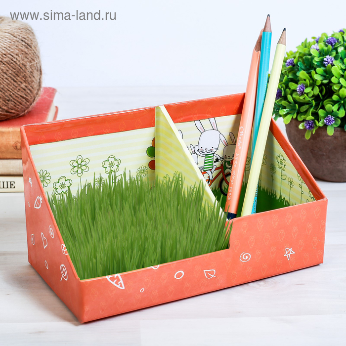 Органайзер канцелярский - растущий сувенир «Всё получится» 10.5х10 см
Органайзер канцелярский - растущий сувенир «Всё получится» 10.5х10 см