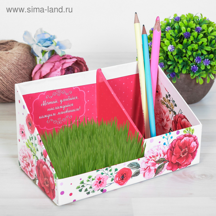 Органайзер канцелярский - растущий сувенир «Мечтай» 10.5х10 см
Органайзер канцелярский - растущий сувенир «Мечтай» 10.5х10 см