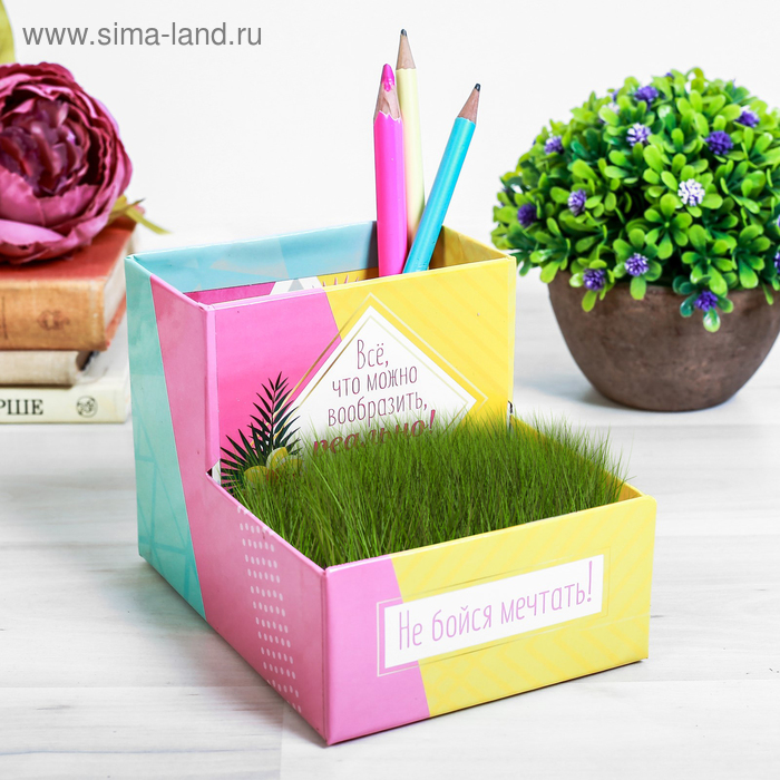 Органайзер канцелярский - растущий сувенир «Не бойся мечтать» 10.5х10 см
Органайзер канцелярский - растущий сувенир «Не бойся мечтать» 10.5х10 см