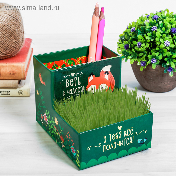фото Органайзер-растущий сувенир "у тебя все получится" 10,5 х 10 см