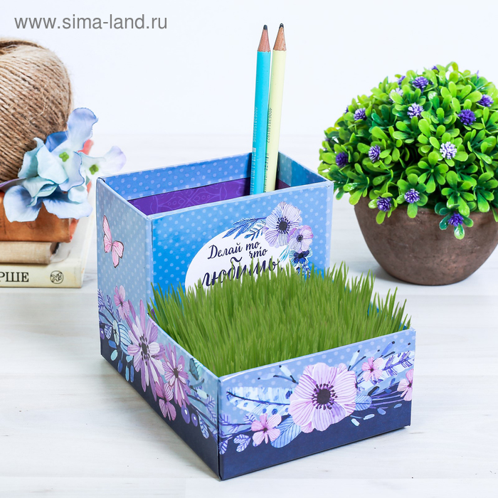 Органайзер канцелярский - растущий сувенир «Следуй за мечтой» 10.5х10 см
Органайзер канцелярский - растущий сувенир «Следуй за мечтой» 10.5х10 см