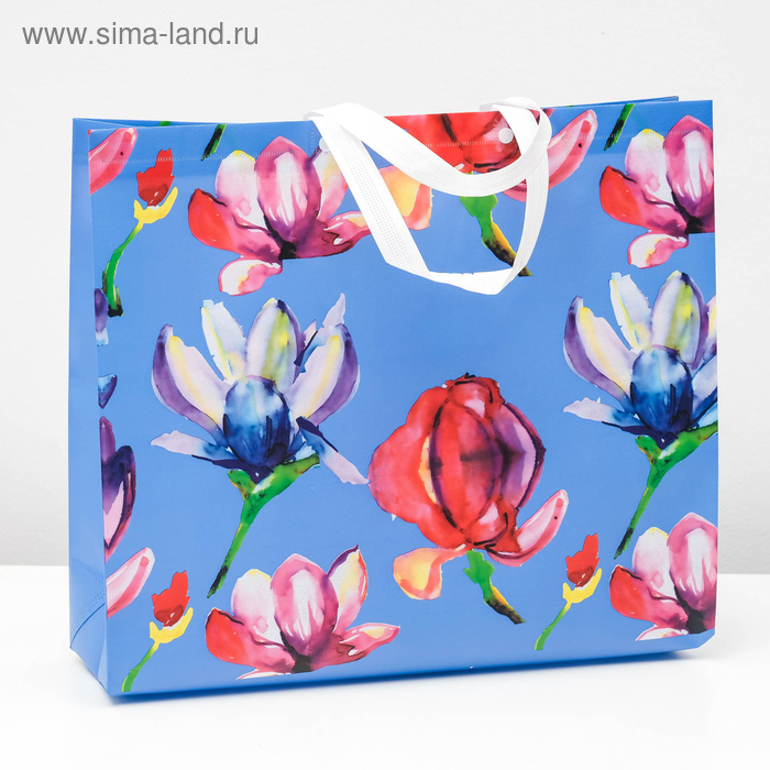 Пакет из нетканного материала 43 х 14 х 49 см
Пакет из нетканного материала 43 х 14 х 49 см