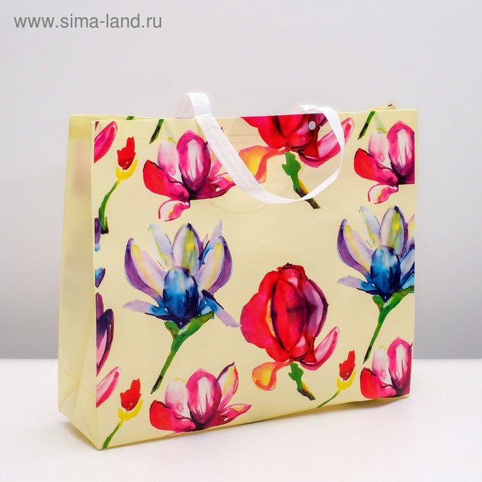 Пакет из нетканного материала 43 х 14 х 49 см
Пакет из нетканного материала 43 х 14 х 49 см