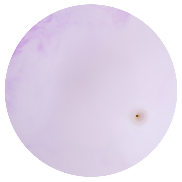 фото Мяч детский «динозаврики», d=25 см, 60 г, цвет микс