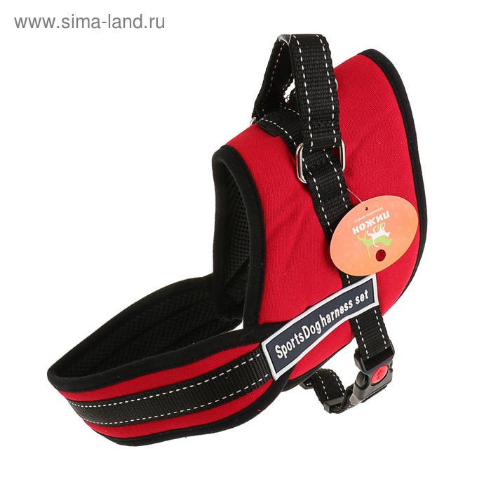 Шлейка с подкладом светоотражающая, размер M (ОШ 60, ОГ 62-76 см), стропа 2,5 см, красная
Шлейка с подкладом светоотражающая, размер M (ОШ 60, ОГ 62-76 см), стропа 2,5 см, красная