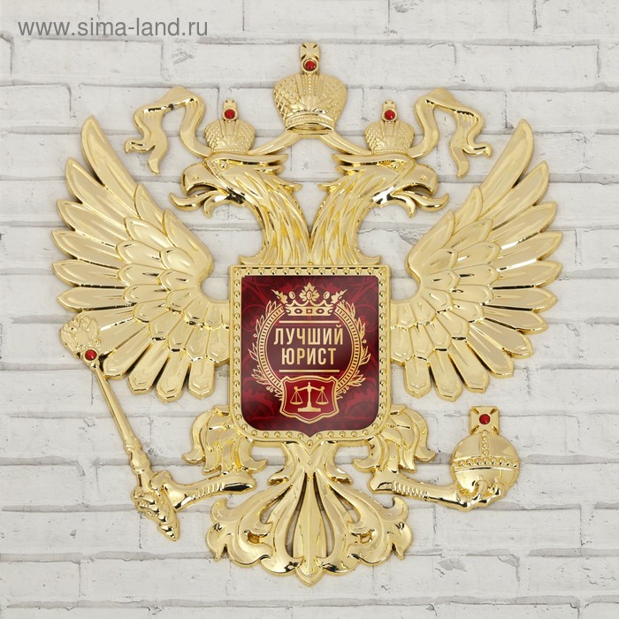 Герб настенный «Лучший юрист», 25 х 22.5 см
Герб настенный «Лучший юрист», 25 х 22.5 см