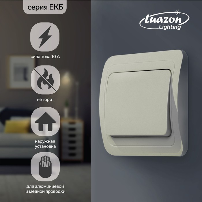 Выключатель Luazon Lighting "ЕКБ", 10 А, 1 клавиша, скрытый, бежевый
Выключатель Luazon Lighting "ЕКБ", 10 А, 1 клавиша, скрытый, бежевый