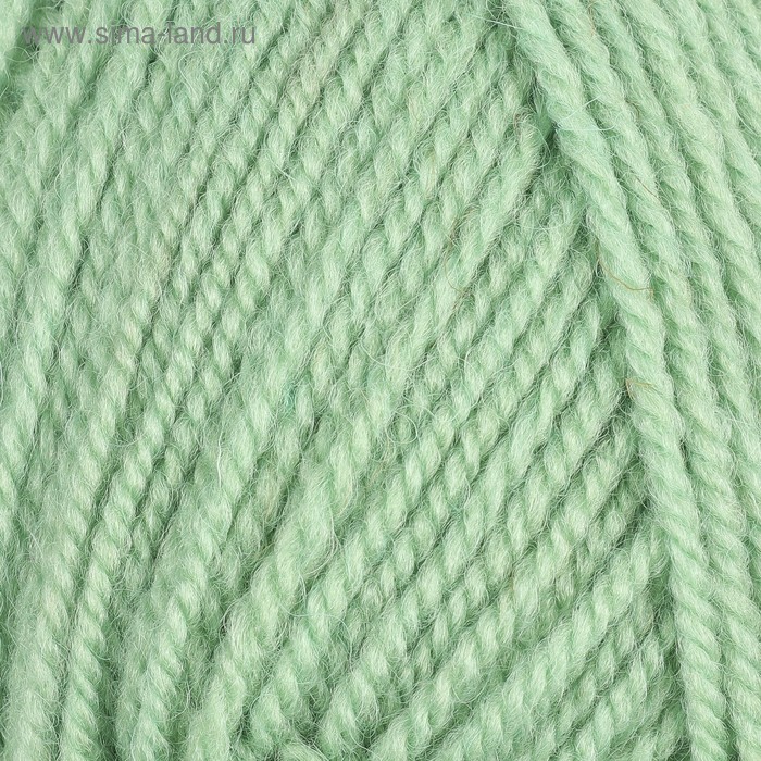 Пряжа " Подмосковная GOLD" 50% шерсть, 50% акрил 250м/100гр (1120 мелисса) 
Пряжа " Подмосковная GOLD" 50% шерсть, 50% акрил 250м/100гр (1120 мелисса)