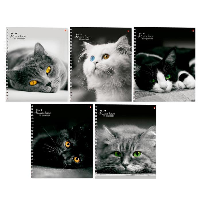 Тетрадь А5+, 80 листов в клетку на гребне "Кошки", обложка мелованный картон, глянцевая ламинация, МИКС 
Тетрадь А5+, 80 листов в клетку на гребне "Кошки", обложка мелованный картон, глянцевая ламинация, МИКС