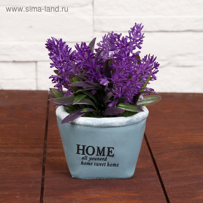 Бонсай "Гиацинт" 8*12,5 см МИКС
Бонсай "Гиацинт" 8*12,5 см МИКС