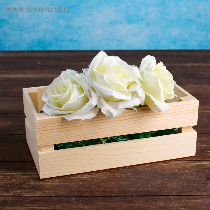 Кашпо деревянное 24.5×13.5×9 см "Двушка Лайт", двухреечное, натуральный Дарим Красиво
Кашпо деревянное 24.5×13.5×9 см "Двушка Лайт", двухреечное, натуральный Дарим Красиво