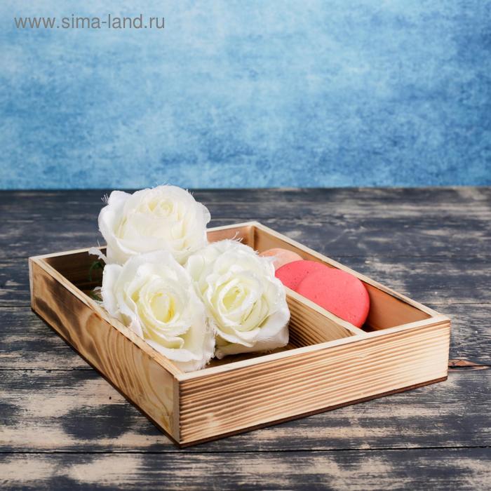 Кашпо деревянное 25.5×20×4.5 см "Макарунас", обжиг Дарим Красиво
Кашпо деревянное 25.5×20×4.5 см "Макарунас", обжиг Дарим Красиво