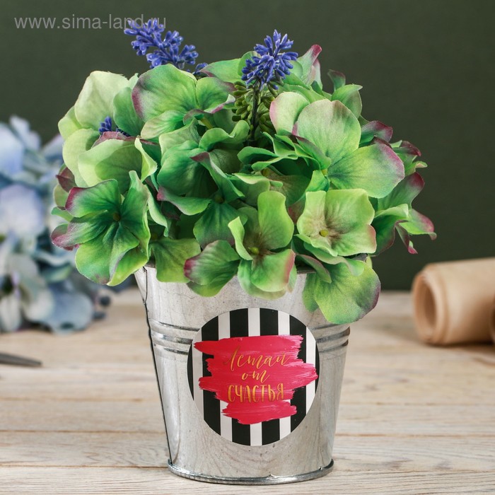 Металлическое кашпо для цветов «Летай от счастья», 9,5 × 9,5 см
Металлическое кашпо для цветов «Летай от счастья», 9,5 × 9,5 см