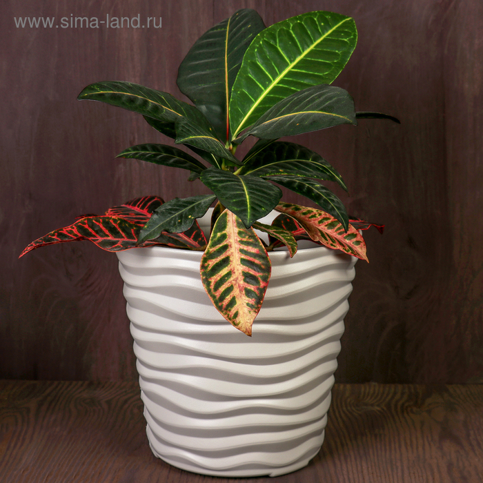 Кашпо «Дюна», 8,5 л, цвет кремовый 
Кашпо «Дюна», 8,5 л, цвет кремовый