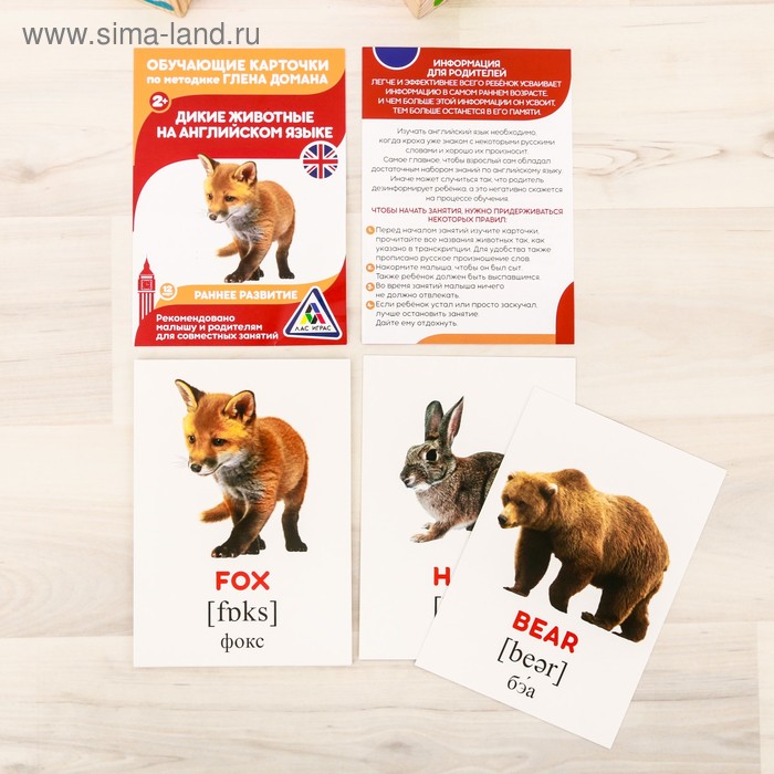 Обучающие карточки по методике Г. Домана «Дикие животные на английском языке», 12 карт, А6
Обучающие карточки по методике Г. Домана «Дикие животные на английском языке», 12 карт, А6