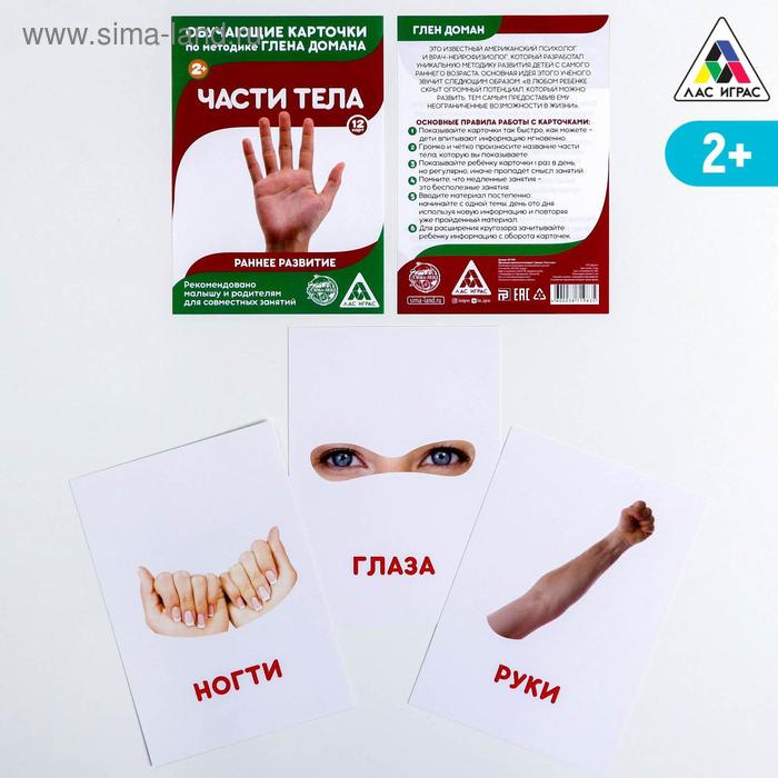Обучающие карточки по методике Г. Домана «Части тела», 12 карт, А6
Обучающие карточки по методике Г. Домана «Части тела», 12 карт, А6
