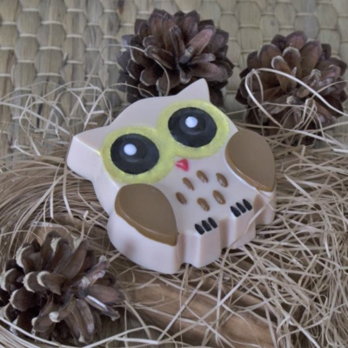 Пластиковая форма для мыла "Совушка" 7,5х2,3х7,5 см
Пластиковая форма для мыла "Совушка" 7,5х2,3х7,5 см