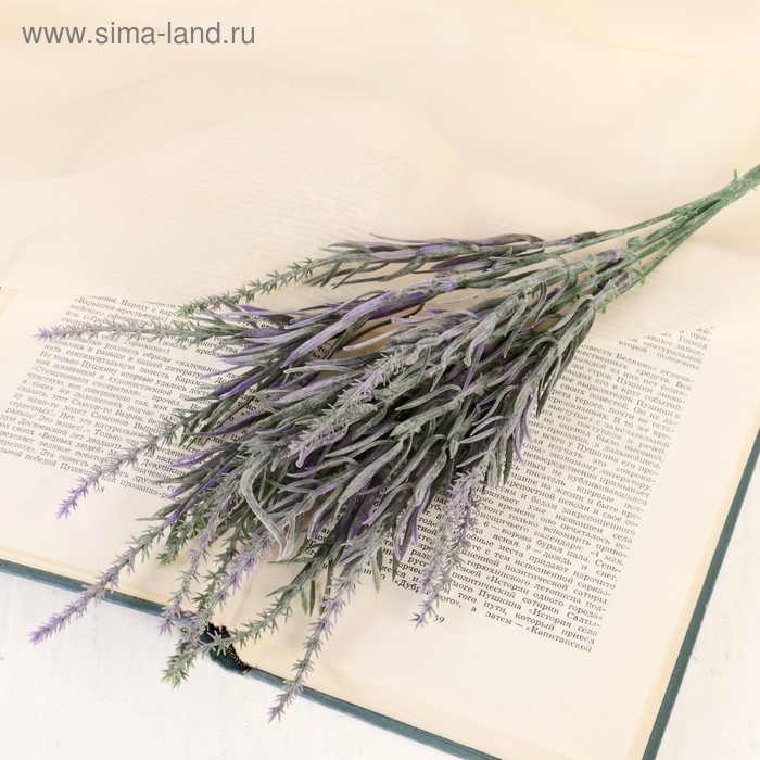 Букет "Колапис" 29 см, микс
Букет "Колапис" 29 см, микс