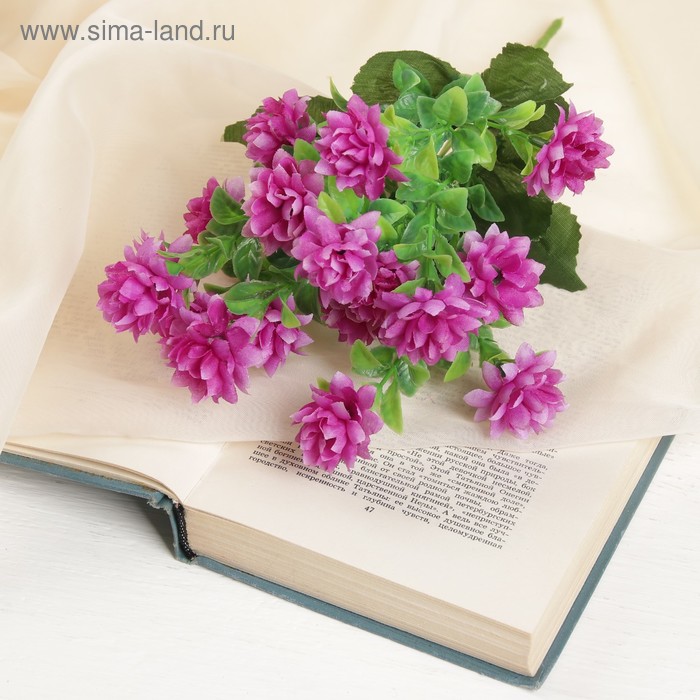 Букет "Мексинканский георгин" 3х30 см, микс
Букет "Мексинканский георгин" 3х30 см, микс