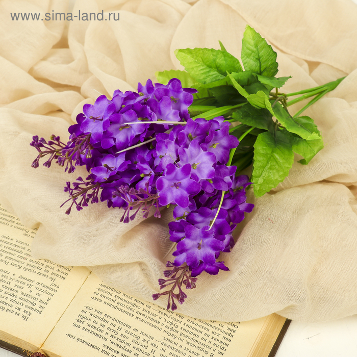 Букет "Аргелиум" 2,5*28 см, микс
Букет "Аргелиум" 2,5*28 см, микс