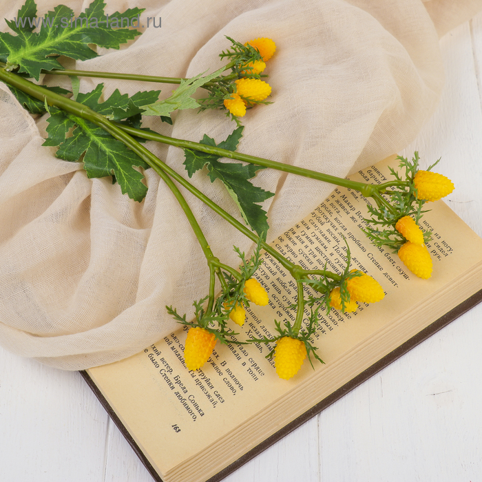 Декор "Ветка с ягодами" 50 см, жёлтый
Декор "Ветка с ягодами" 50 см, жёлтый