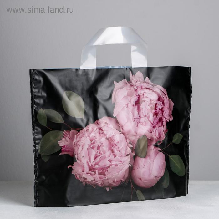 Пакет полиэтиленовый с петлевой ручкой «Пионы», 35 × 25 см
Пакет полиэтиленовый с петлевой ручкой «Пионы», 35 × 25 см